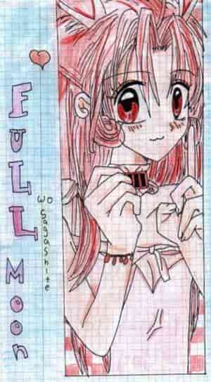 Meroko (Fullmoon wo sagashite)