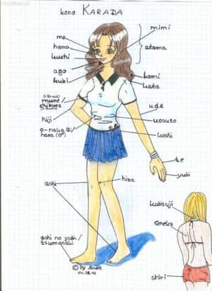 kono Karada >Körper auf japanisch<^^