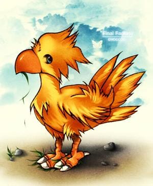 chocobo