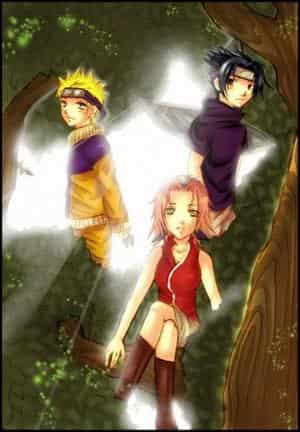team 7