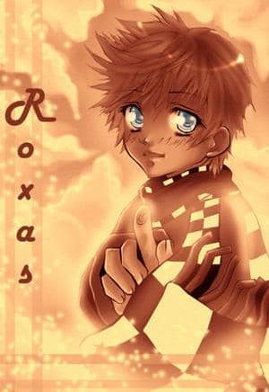 conhon eintrag für synea