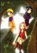 team 7