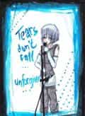 +Tears don´t fall-Unforgiven+