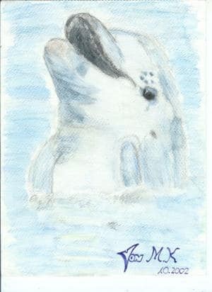 Delphin