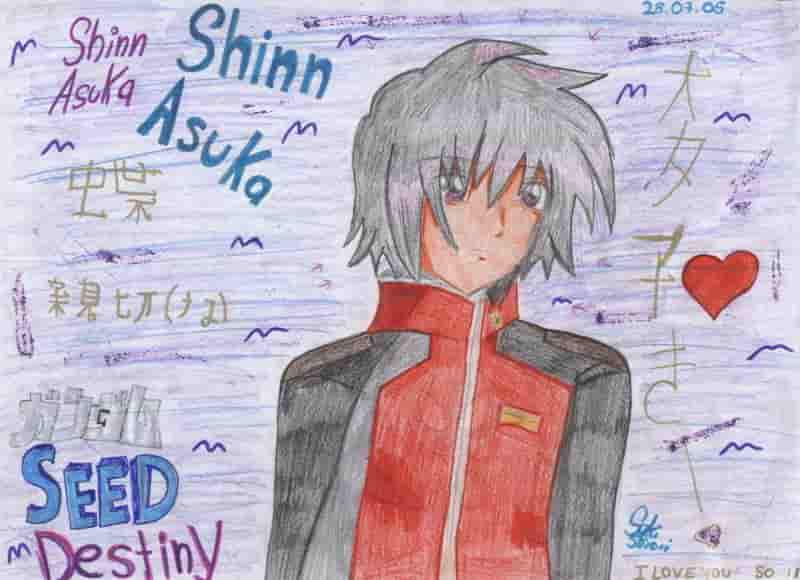 ~*~Shinn Asuka~*~