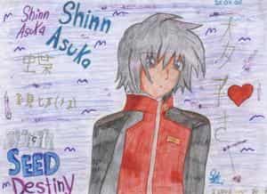 ~*~Shinn Asuka~*~