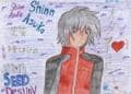 ~*~Shinn Asuka~*~