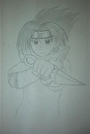 Sasuke 1. Versuch