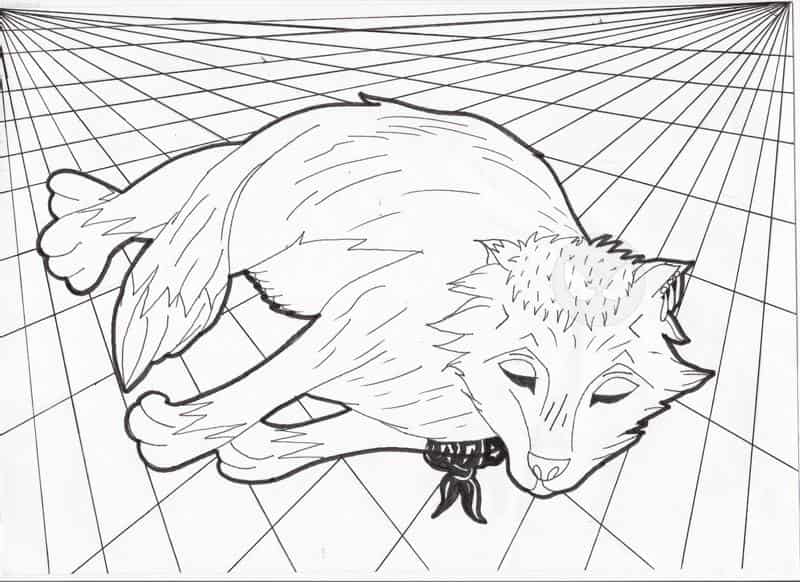 En Zorro Wölfchen ^^