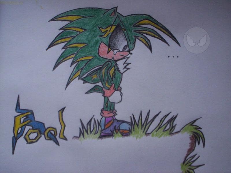Fool the Hedgehog