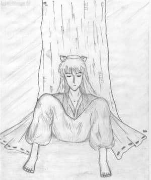 Inuyasha schlafend