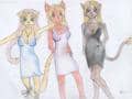 Catgirls (whaahaa was für ein einfallsreicher titel -.- ^^)