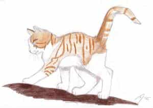 katze auf einem baum