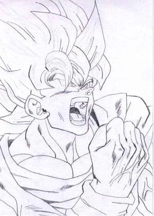 Son Goku