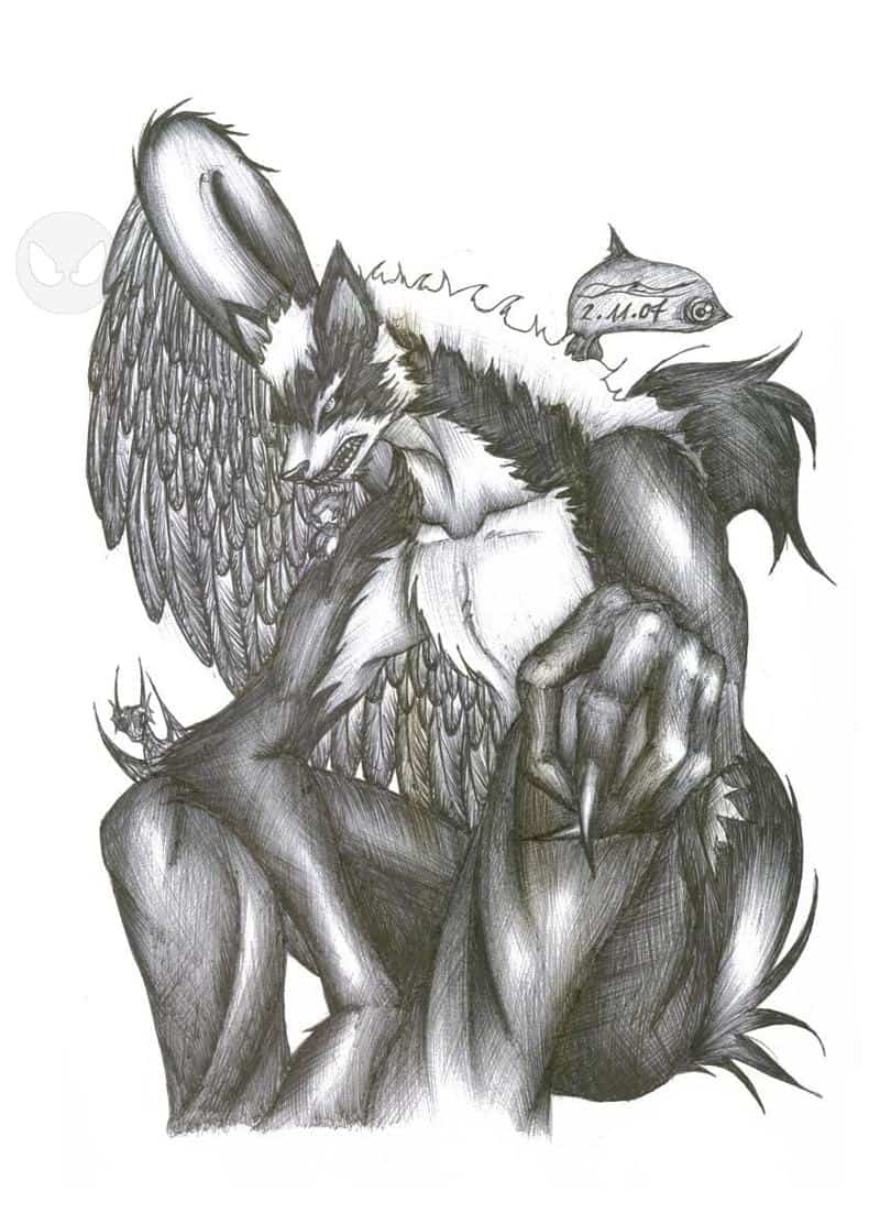 blackwinged-neotu(tierisch)