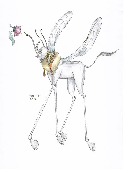 metarmophose (noch ohne HG)