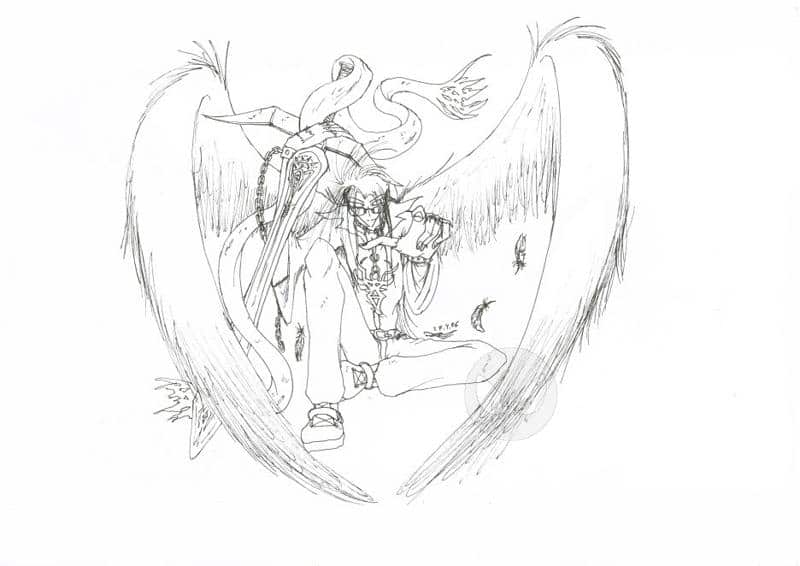 blackwinged_dark(outlines)