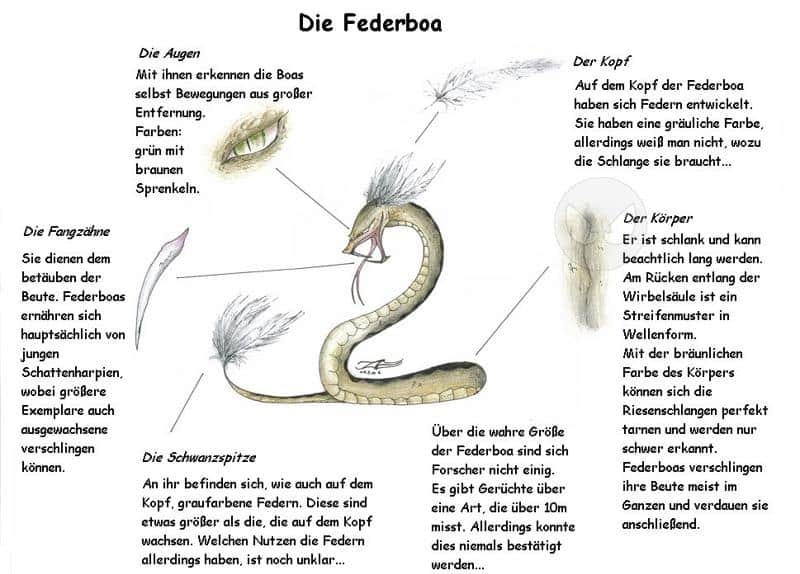 seforra (erster entwurf für kateru)