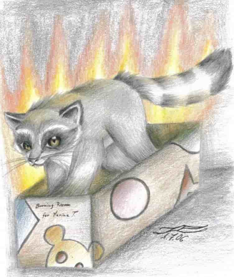 burning racoon (für marina^^)