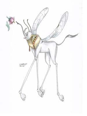 metarmophose (noch ohne HG)