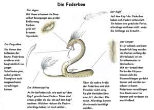 seforra (erster entwurf für kateru)