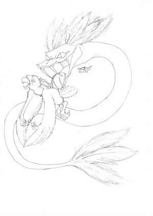 die beute der federboa(outlines)