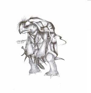 kouga, die alte ninja-schildkröte