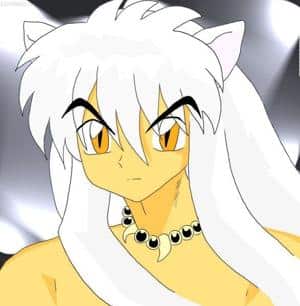 Inu Yasha im Rampenlicht XD