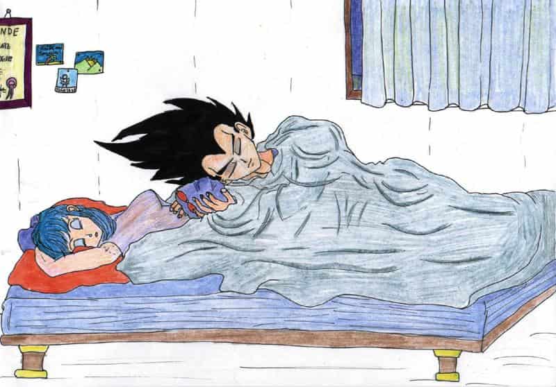 Oh No! Noch ein Vegeta-Bulma Kuschelbild.....