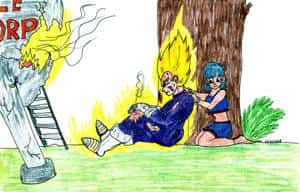 Ssj Vegeta und Bulma