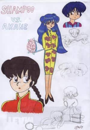 Shampoo vs. Akane
