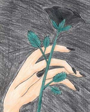 Black Rose