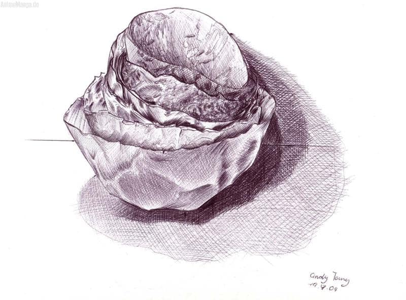 papierschlane!!! ja es sind papierschalen!!!!!!