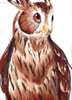 riesenfischuhu XDDDDD