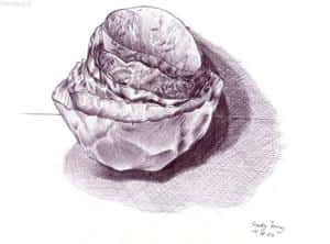 papierschlane!!! ja es sind papierschalen!!!!!!