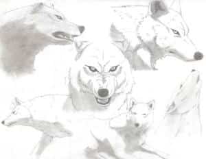 Kiba (die nächste collage XD)