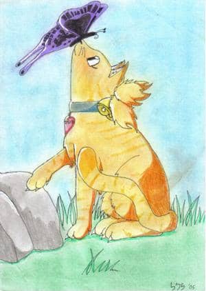 temari als katze(diesmal eine ganze katze)