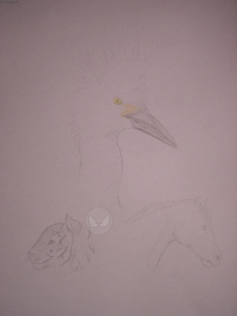 Tierskizzen, bei denen man fast nix erkennt... XD