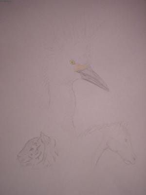 Tierskizzen, bei denen man fast nix erkennt... XD