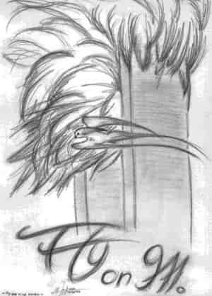 - fly on nine eleven - (TWIN TOWER - The World Trade Center -)