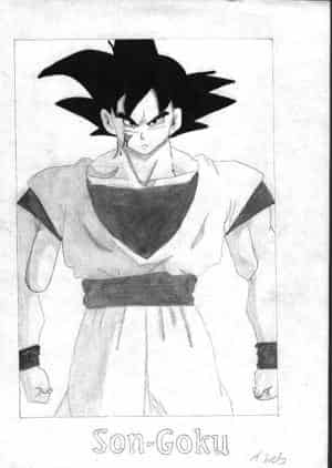 Son Goku