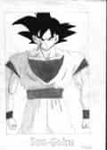 Son Goku