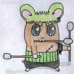Zoro Hamsta ;3