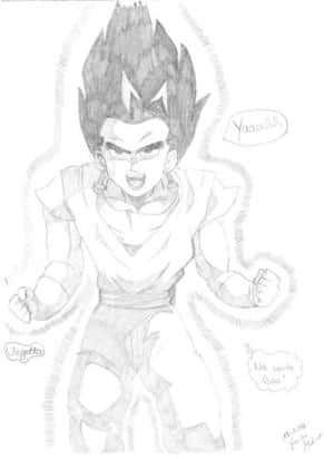 Gogeta oder Vegetto?
