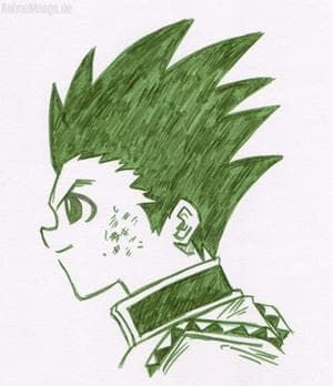 Gon in Grün ^^