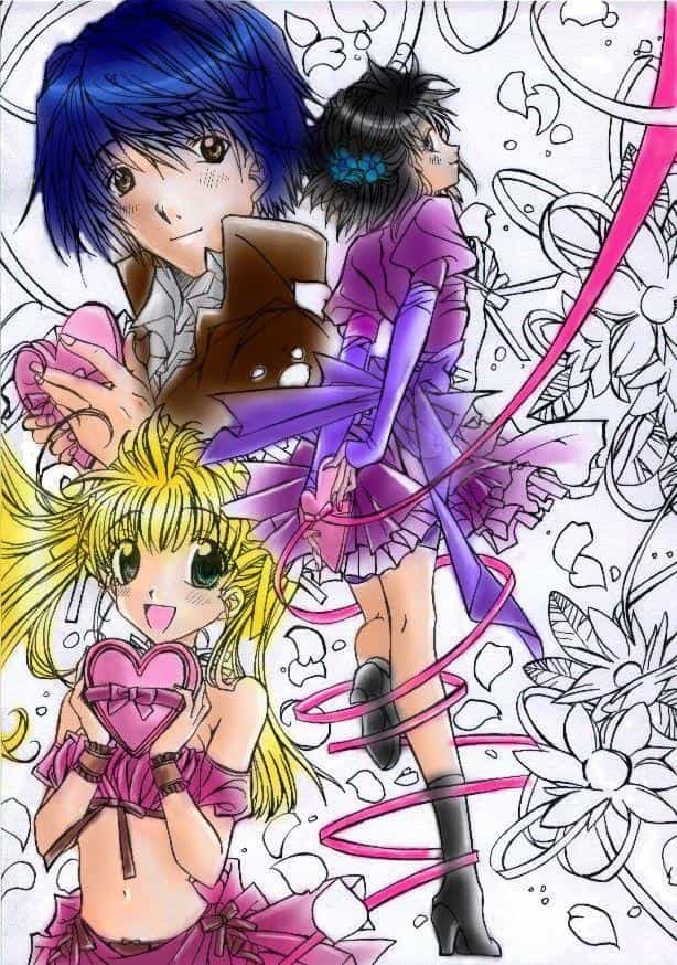 1.version: farbaufteilung