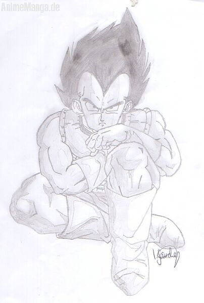 Chilling Time for VEGETA