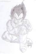 Chilling Time for VEGETA