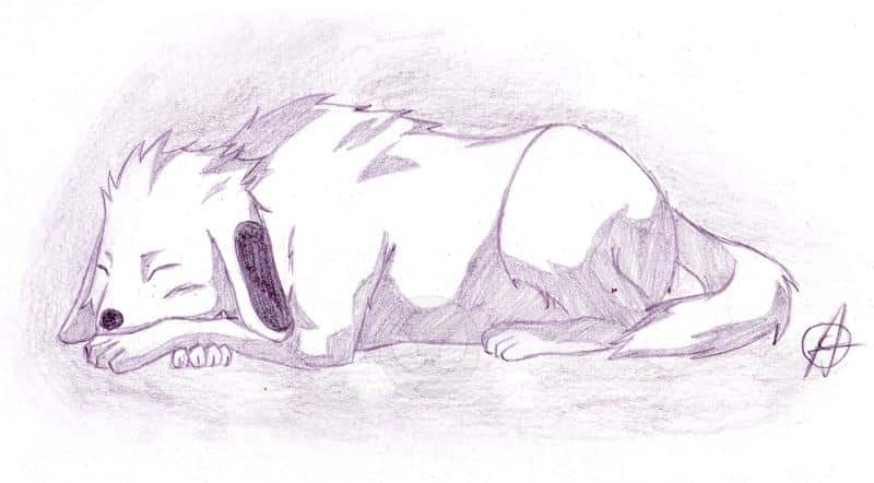 Großer Akamaru (wieder für Sango_chan)