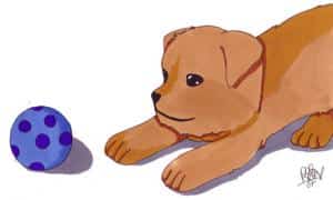 Hund (Geschenk für meine Oma)